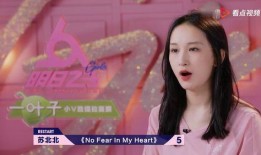 苏北北小杨最新爆料,揭秘娱乐圈最新热点事件