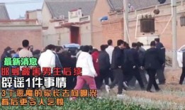 邯郸事件爆料最新消息,真相逐步浮出水面